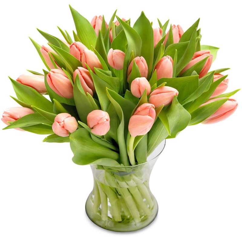 Bukiet  21 tulipanów łososiowych