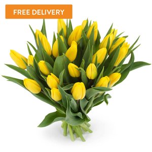 25 Tulipanów Żółtych